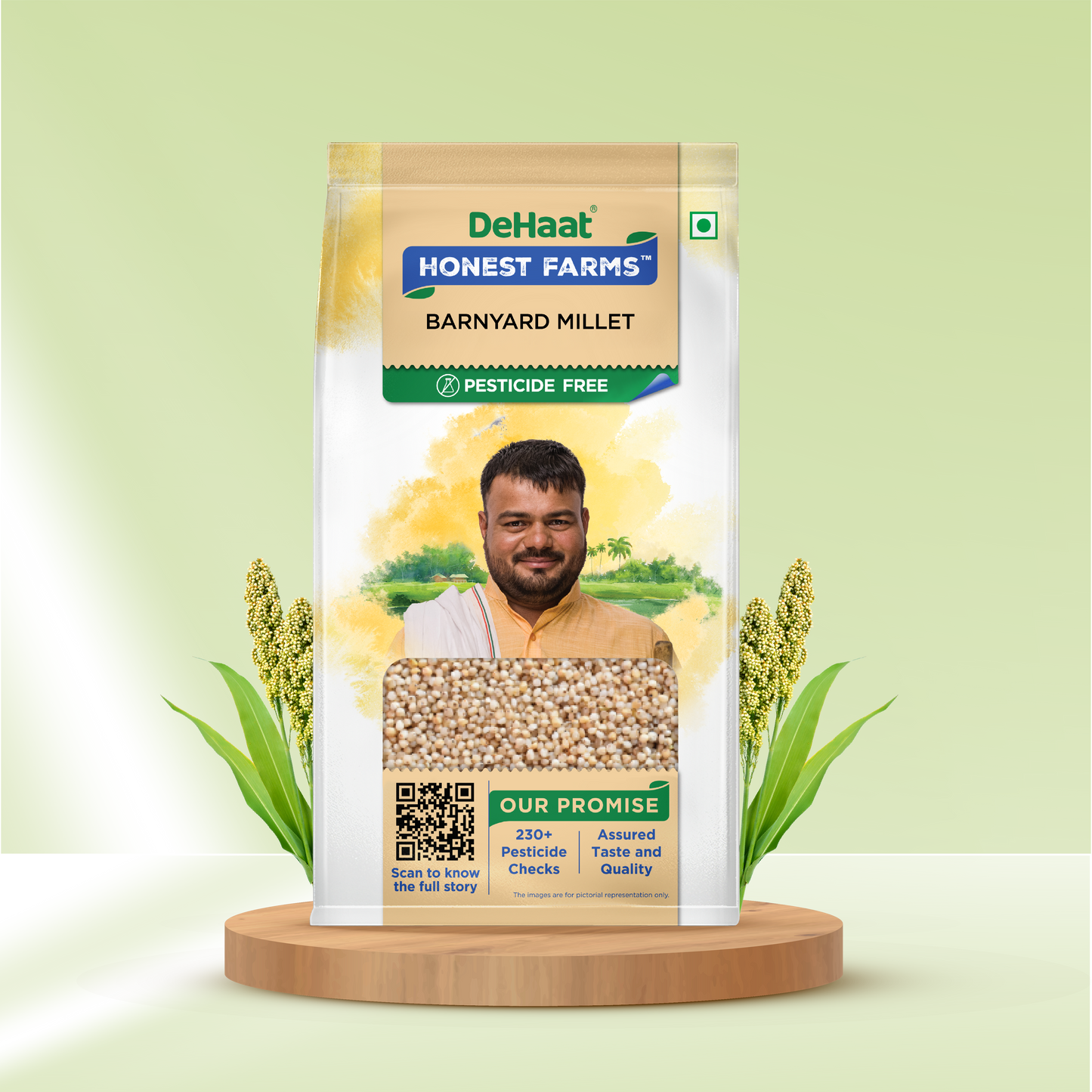 Barnyard Millet
