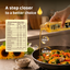 Sunfo Cold-Pressed Sunflower Oil