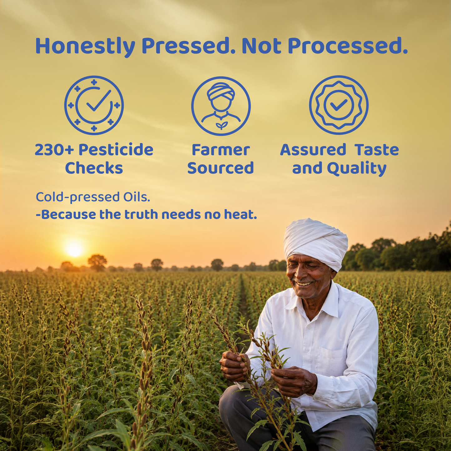 Seso Cold-Pressed Sesame Oil