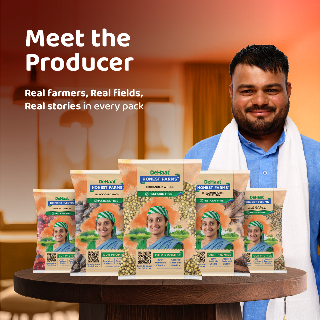 Coriander Whole / Dhania Sabut (Pesticide Free)