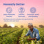 Pesticide-Free Jaggery (Gur) Cubes
