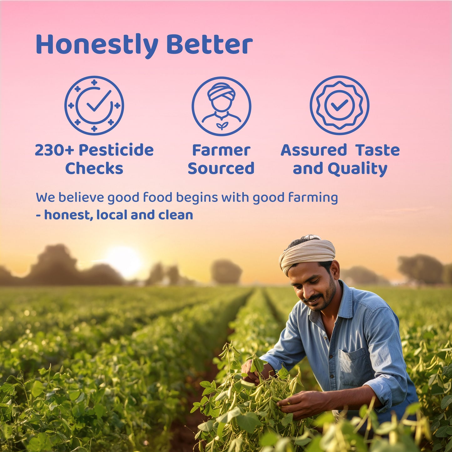 Pesticide-Free Jaggery (Gur) Cubes