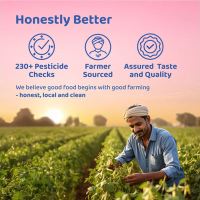 Pesticide-Free Jaggery (Gur) Cubes