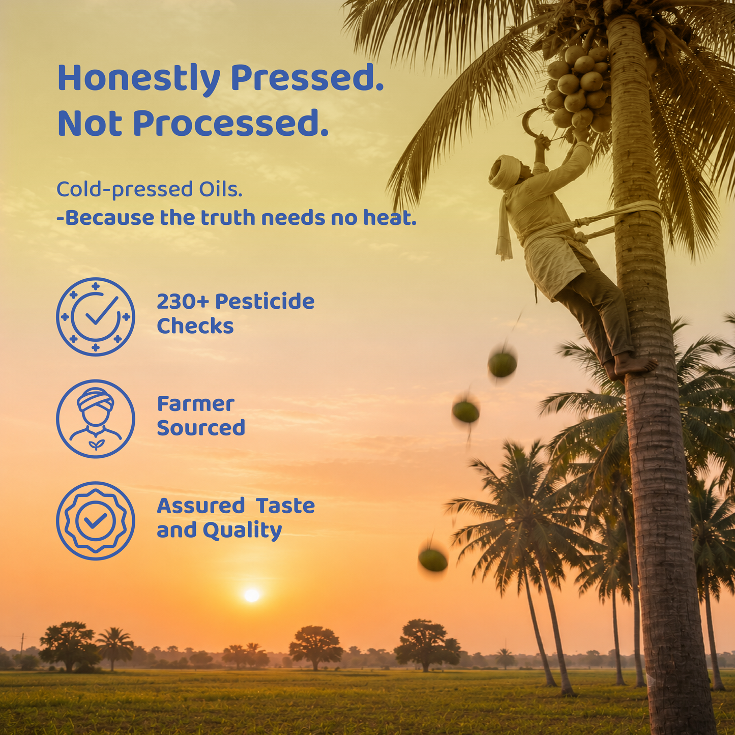 Coco Cold-Pressed Coconut Oil