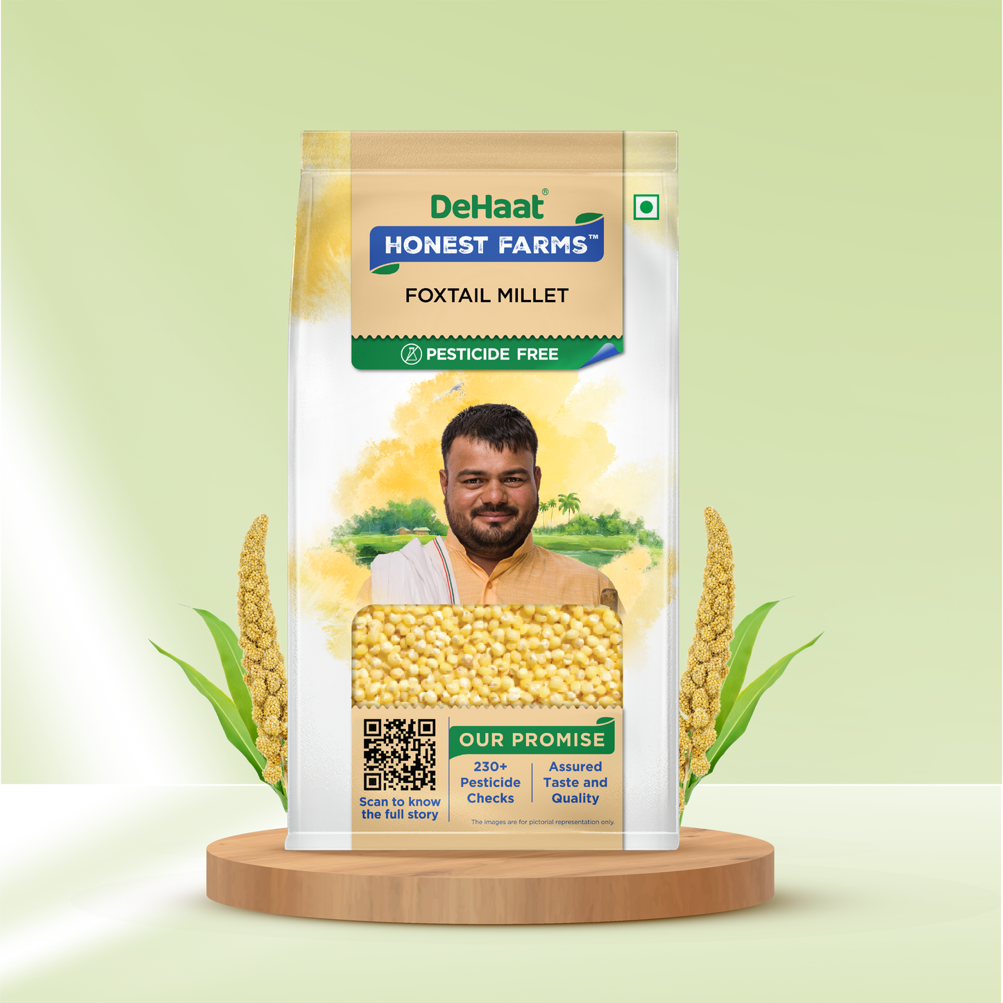 Foxtail Millet