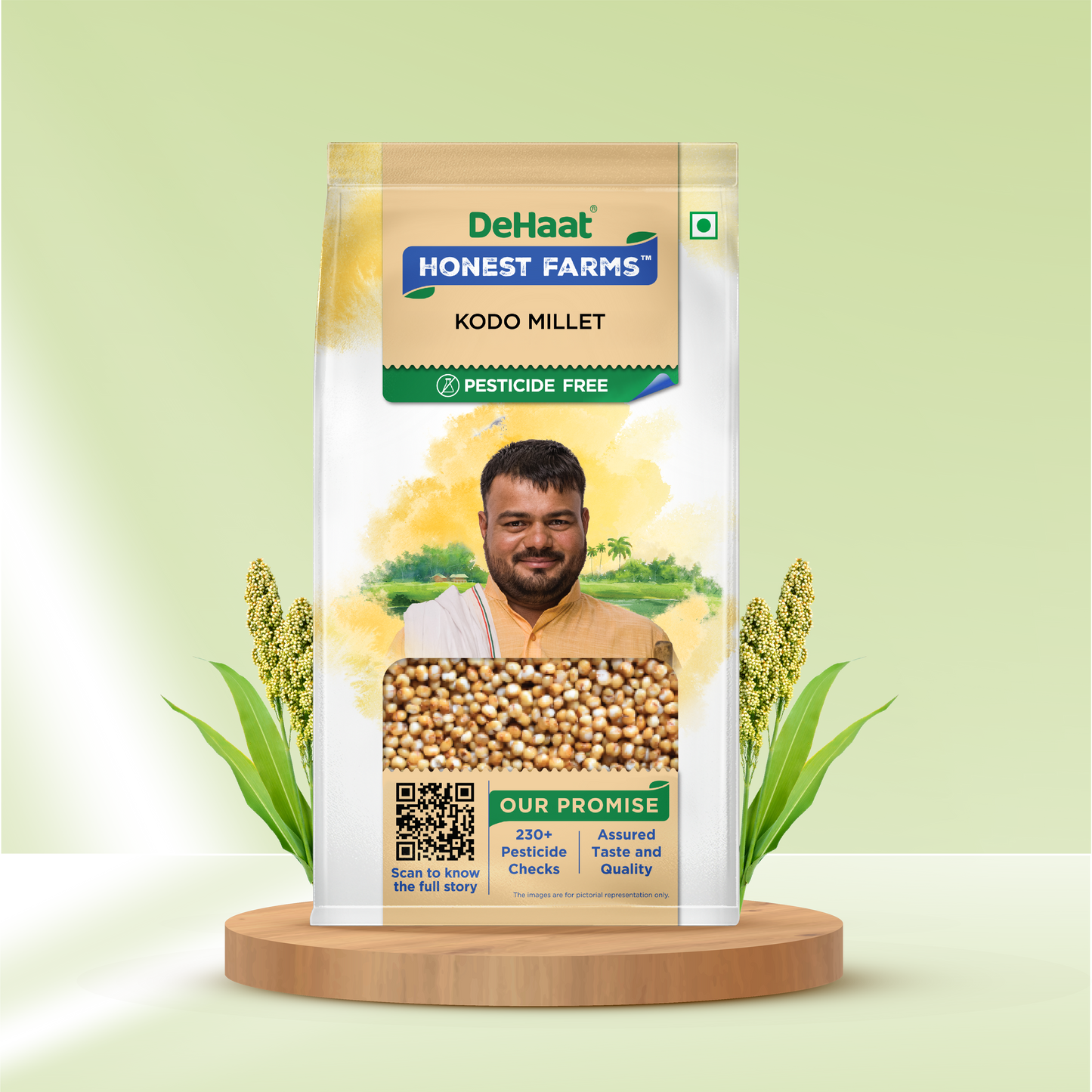 Kodo Millet