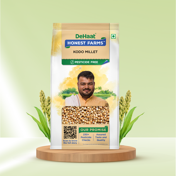 Kodo Millet