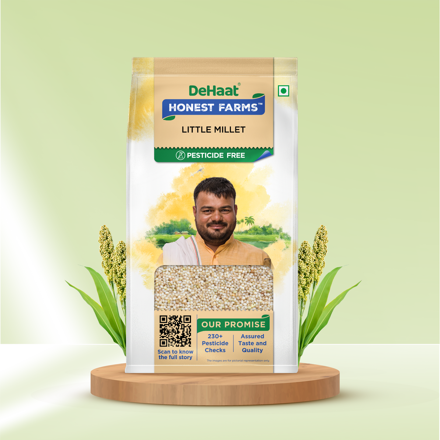 Little Millet