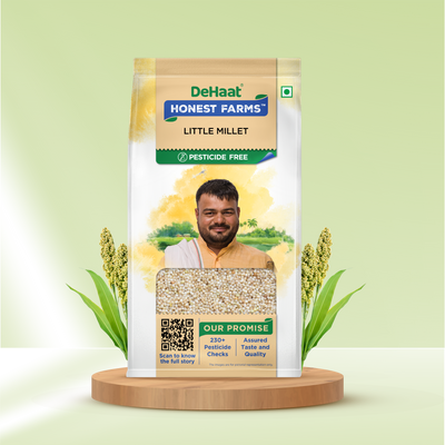 Little Millet