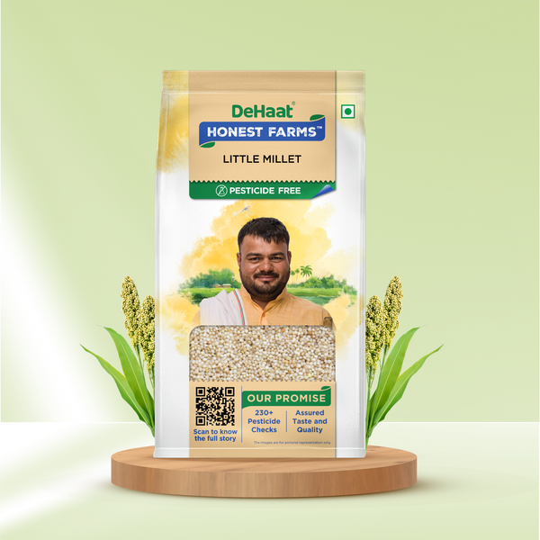 Little Millet